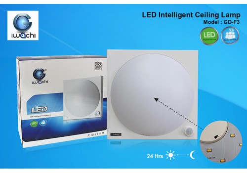 IWACHI-SS-Light-GD-F3